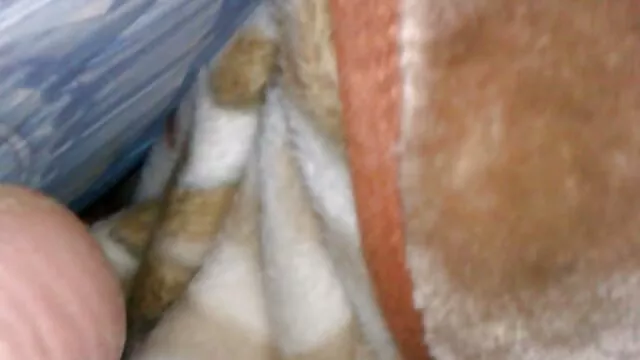 ผู้ชายเงี่ยน fucks แฟนผมสีบลอนด์สกปรกของเขาอย่างโลภ xxx วีดีโอ โป๊